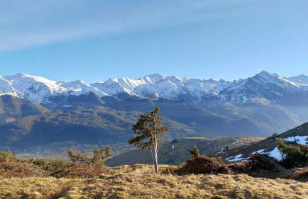 Gîte chalet la Bergerie de Sentantony - Val d'Azun - Montagne Pyrénées - Photo 24