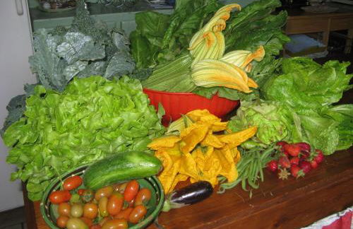 Agriturismo Aiole - Foto 45