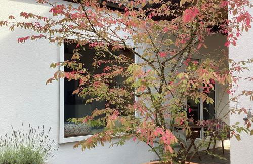 Ferienhaus Fahr am Main - Foto 52