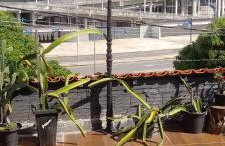 Terraço dos Léo's - Foto 7