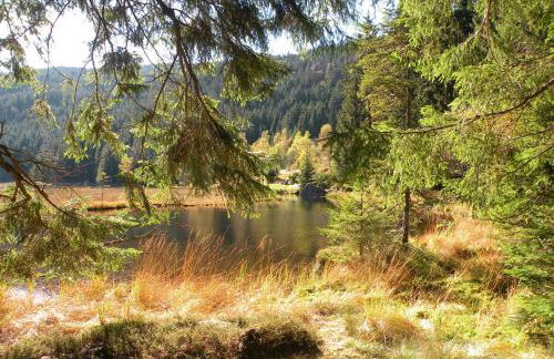 Ferienwohnung Völkl - Foto 18