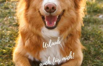 Villa Noho - Photo 68