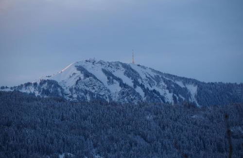 Ferienwohnung Grüntenpanorama im Jägerwinkl Allgäu - Foto 25