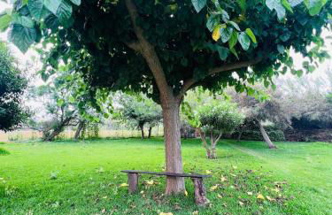 ADOSADO OLIVA NOVA 80 metros playa - Photo 44