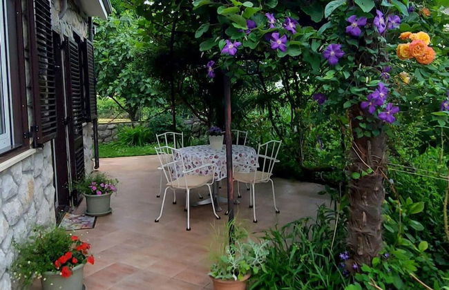 Green Garden Oasis - Photo 36