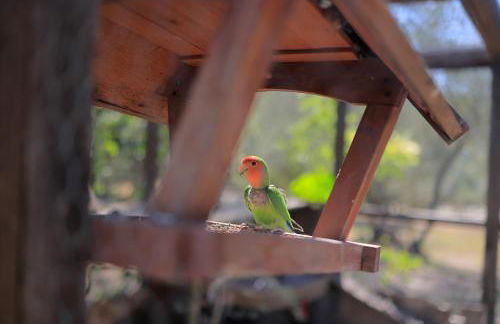 Agriturismo Villa Guarnaschelli - Foto 65
