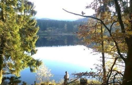 Detached Holiday Residence in the Wonderfully Beautiful Harz - Foto 70