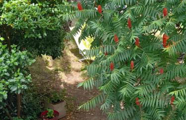 Maison avec jardin près de Beauval - Foto 7