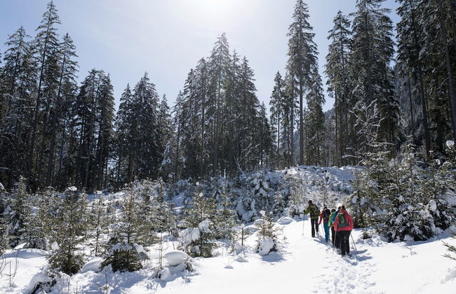 Apartment in Bramberg Near Wildkogel Arena - Foto 29