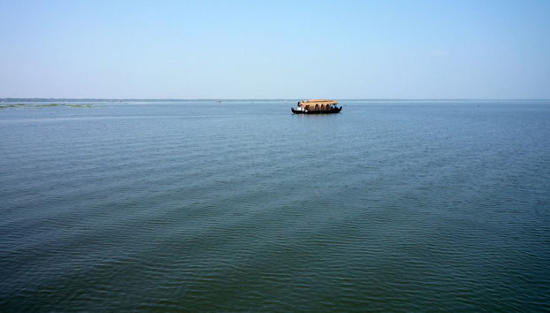 Passeio de Barco em Alleppey - Privado - Foto 4