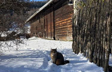Maiergschwendter-Hof inkl. Chiemgaukarte - Foto 9