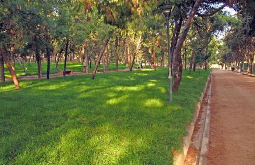 Tiny Studio Suite - Foto 24