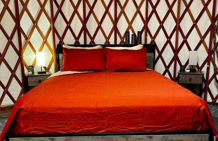 Incredible Equipped Yurt Amazing for a Glamping Experience in East Meredith, New York - Foto 33