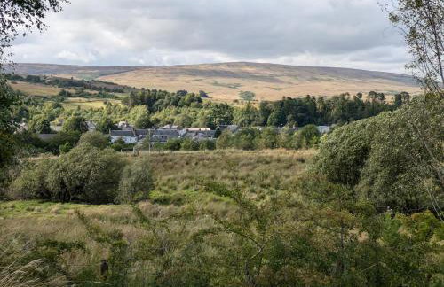 Pet Friendly - Lodge at Riverview Holiday Park - Foto 33