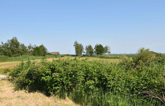 Ferienwohnung in Gross Kordshagen mit Garten - Foto 23