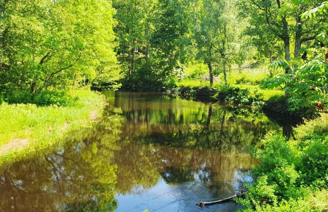 4 Star Holiday Home in Karlskrona - Foto 17