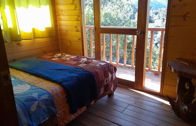 Sendero de las aves - Foto 13