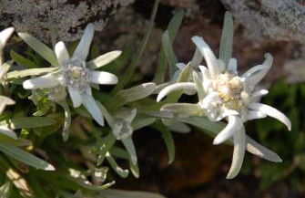 Ferienwohnung Haus Reider - Foto 25