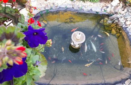 Apartment Natali - Foto 15