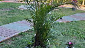 Chalé Paraíso Guararema 3 - Foto 3