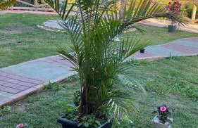 Chalé Paraíso Guararema 3 - Foto 3