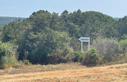 Sakarun House - Ivana - Photo 55