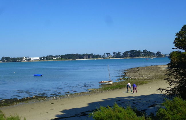180deg Panoramic sea View, Apartment, Roscoff - Foto 18
