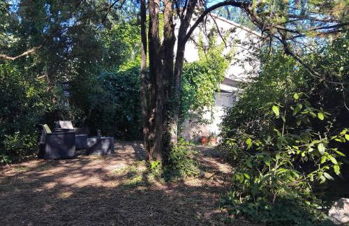 Les Lucioles - Foto 18