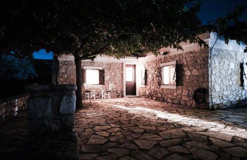 Olive Roots - Foto 70