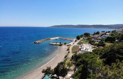 Chios Xenia Studios & Apartments - Photo 71