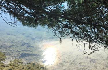 Dream house - Foto 19