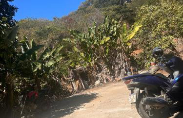 Cantinho verde - Photo 27