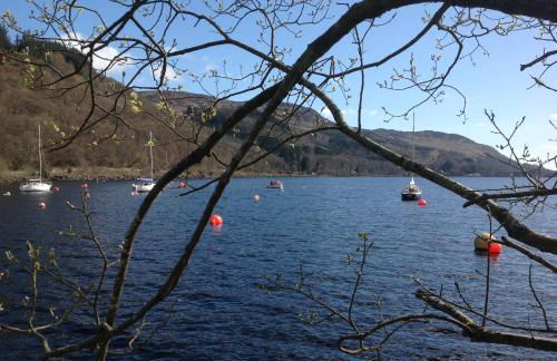 The Garden Flat - Photo 57