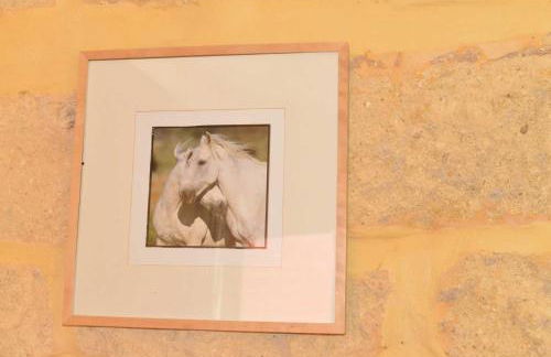 Mas du Notaire - Photo 18