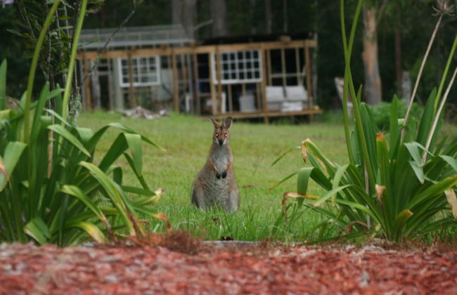 Arcadia Retreat - Foto 17