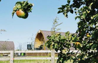 Deep Dale- Bugthorpe Grange Glamping - Foto 20