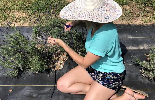 Lakefront Cabin with Fire Pit in Carbondale, Illinois - Foto 20