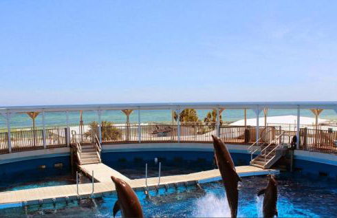 Destin West Gulfside #608 - Foto 62