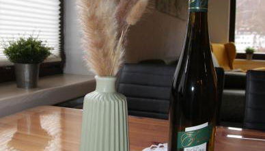 Moselblick - Ferienwohnung an der Uferpromenade - Foto 5