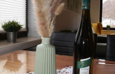 Moselblick - Ferienwohnung an der Uferpromenade - Foto 5