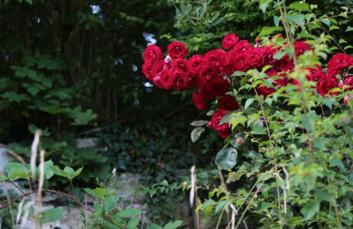 Haus Am Sonnenhügel - Foto 15