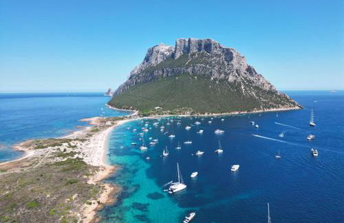 Conchiglia Family Garden Retreat - 2BR - Near the Sea - Wi-Fi - AC - BBQ - Pet Friendly - Foto 16