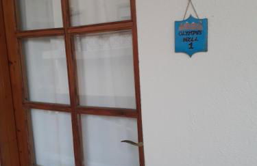 OLYMPUS HILL - Foto 9