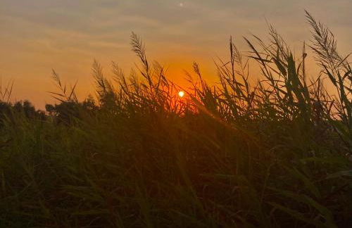 La villetta di Spiaggiabella - Foto 54