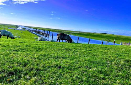 Ferienwohnungen am Wattenmeer - Foto 52