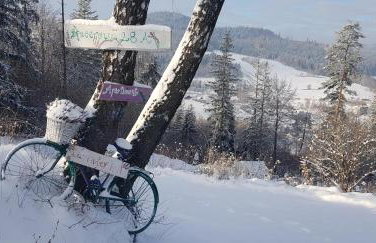 Apartamenty Lavender Hill - Foto 30