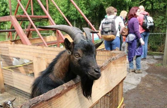 Holiday Apartment Ponywiese - Foto 20