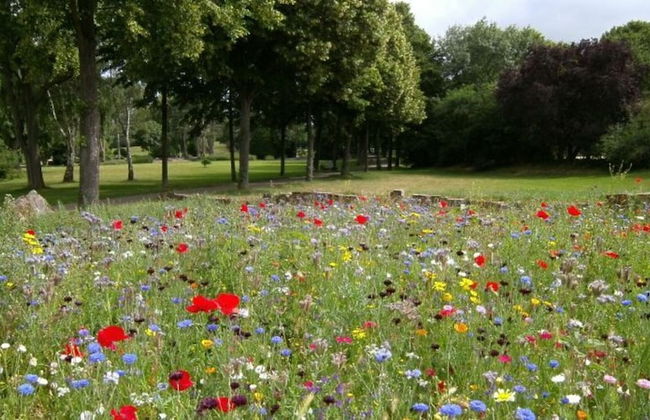 Holiday Home by the Lake, Rosnowo - Foto 23