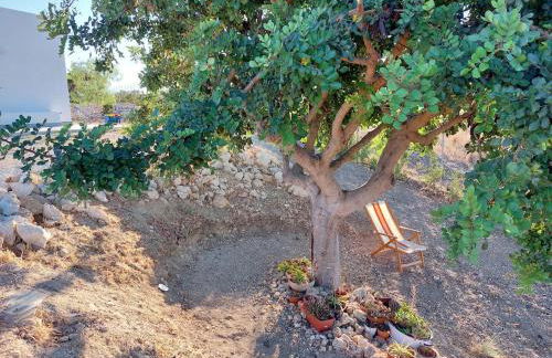 Casa Palombara - Healiday in Torre Salsa - Foto 65