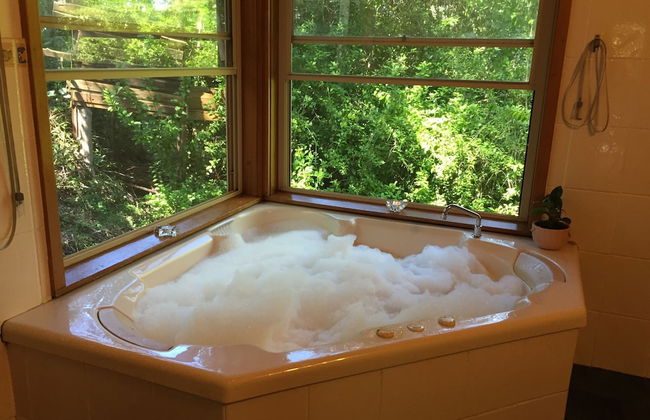 Bluegums Cabins Barrington Tops - Photo 49